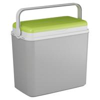 Kühlbox 10 L Max Mit Klappgriff Grau/Grün - Grau/Grün, Basics, Kunststoff (30/19/28,5cm)