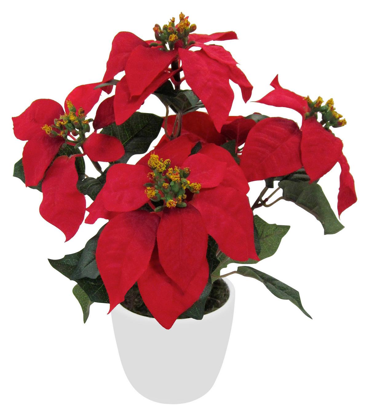 Kunstpflanze Grün/Rot/Weiß L: ca. 40 cm mit Topf Bibi - Rot/Braun, Natur, Kunststoff/Metall