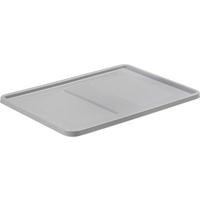 Boxdeckel Roberts Kunststoff 30x40 Cm Hellgrau - Hellgrau, KONVENTIONELL, Kunststoff (30/40cm)