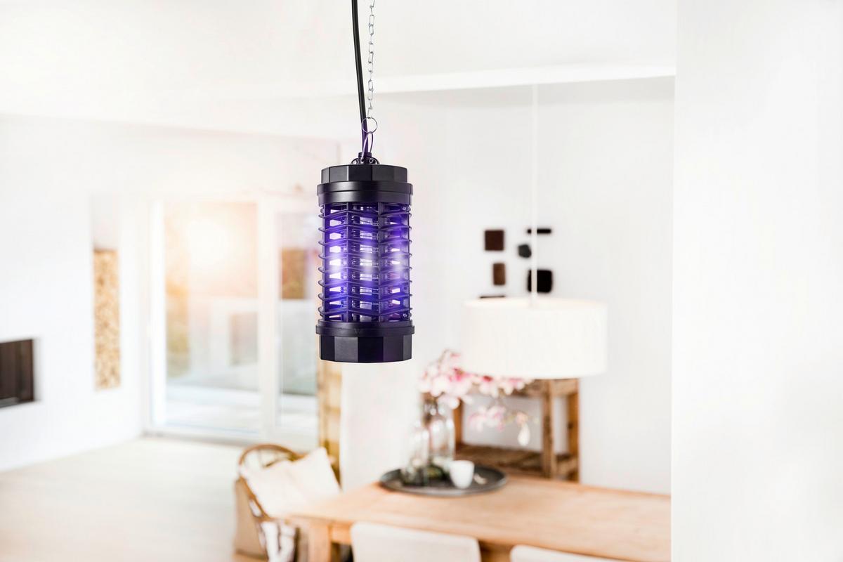 Lichtfalle Zum Stellen/ Hängen, Insektenvernichter - Schwarz, Basics