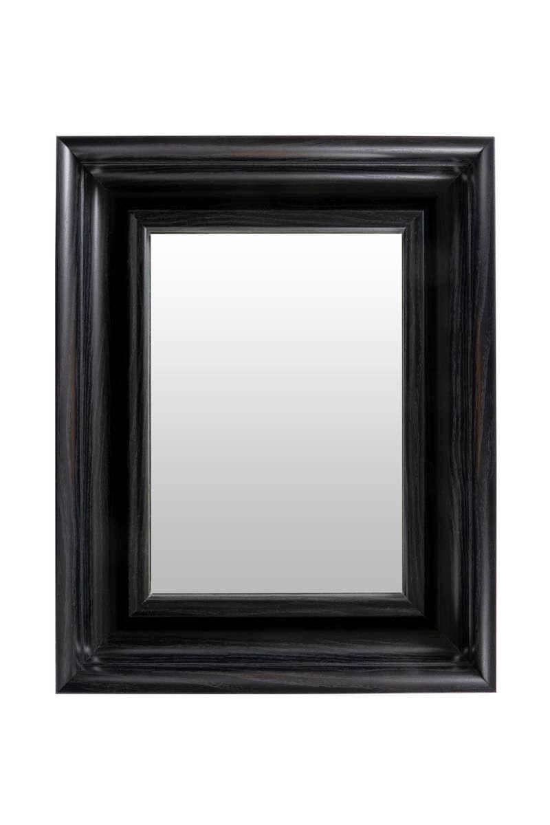NÁSTĚNNÉ ZRCADLO AN67I-DBRW - tmavě hnědá, Basics, plast/sklo (36,5/45,5/5,2cm)