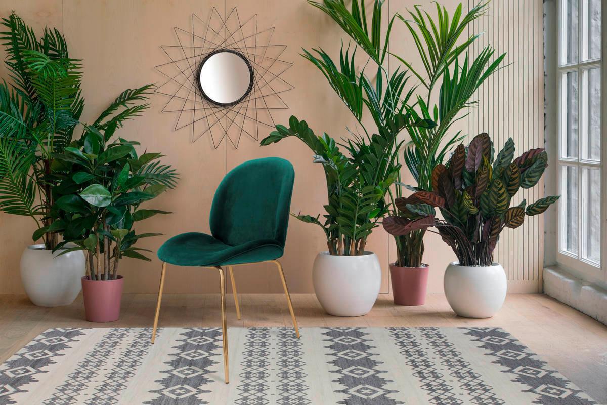 Sada židlí zelená - zelená/barvy mosazi, Moderní, kov/plast (47/90/59cm)