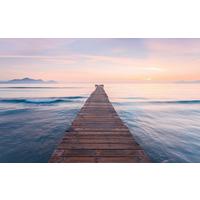 Vliestapete Sh073-Vd4 Peace - Natur (400/250cm)
