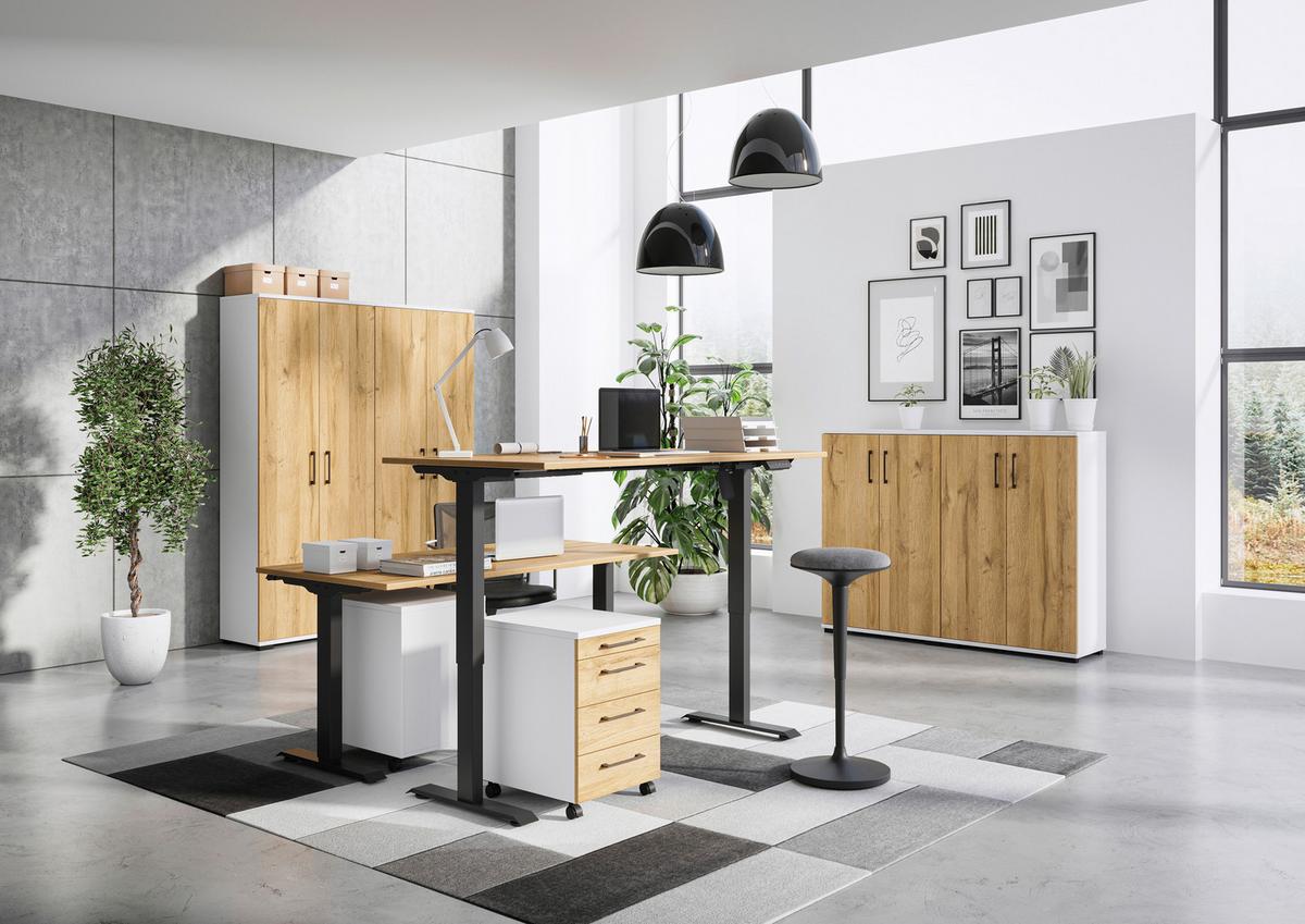 Aktenschrank Profi Weiß/Eiche Dekor B: 80cm - Eichefarben/Weiß, MODERN, Holzwerkstoff (80/200/40cm) - Germania