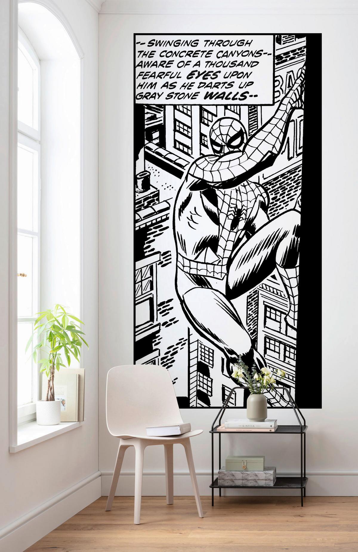 Fototapete Spider-Man Classic Climb - Schwarz/Weiß, Trend, Textil (100/200cm)