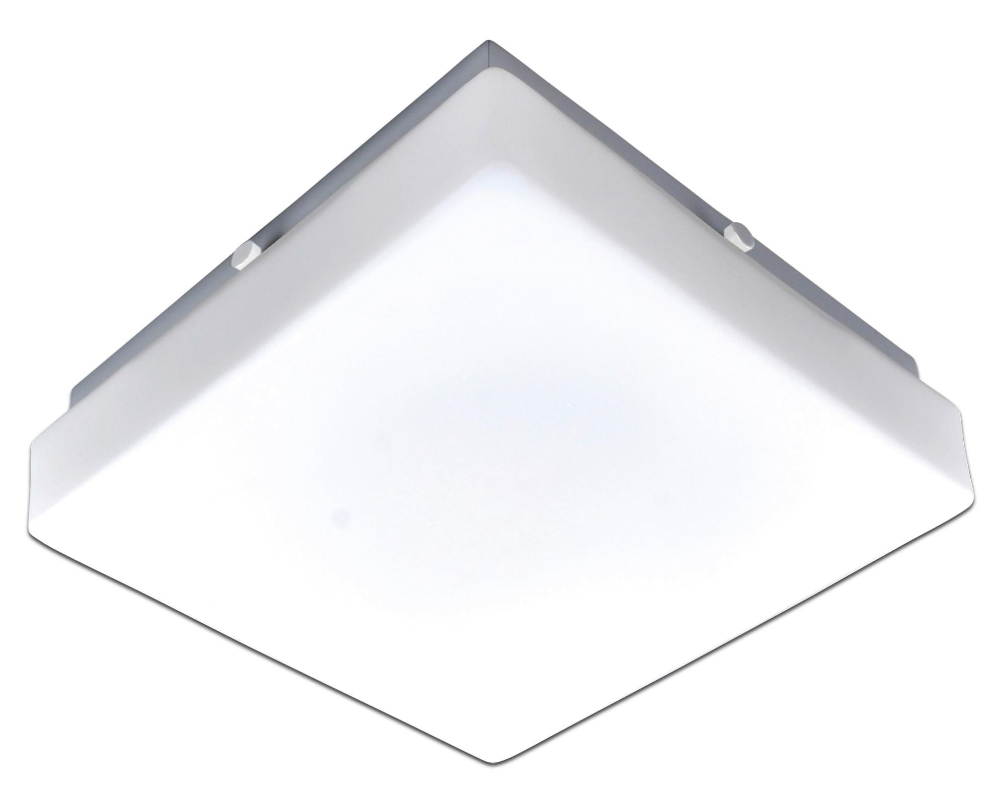 LED-Deckenleuchte L: 25 cm mit Milchglas - Weiß, Basics, Glas/Metall (25/25/8cm) - Näve