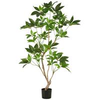 Kunstpflanze Zimmeraralie Kunststoff, Grün, H: 150 cm - Schwarz/Braun, Basics, Kunststoff (150cm) - P & B