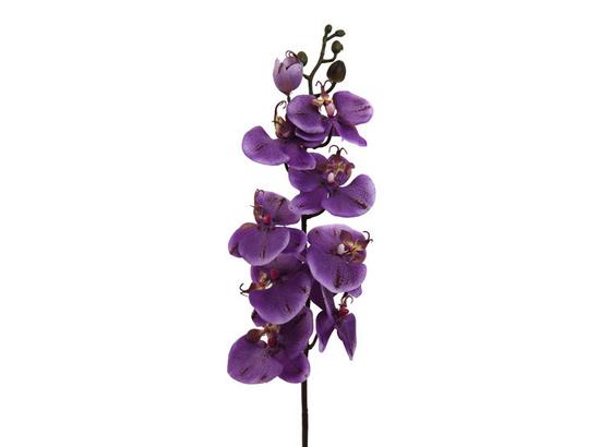 Rostlina Umělá Gundula - zelená/fialová, umělá hmota (98cm) - Mömax modern living Rostlina Umělá Gundula - zelená/fialová, umělá hmota (98cm) - Mömax modern living