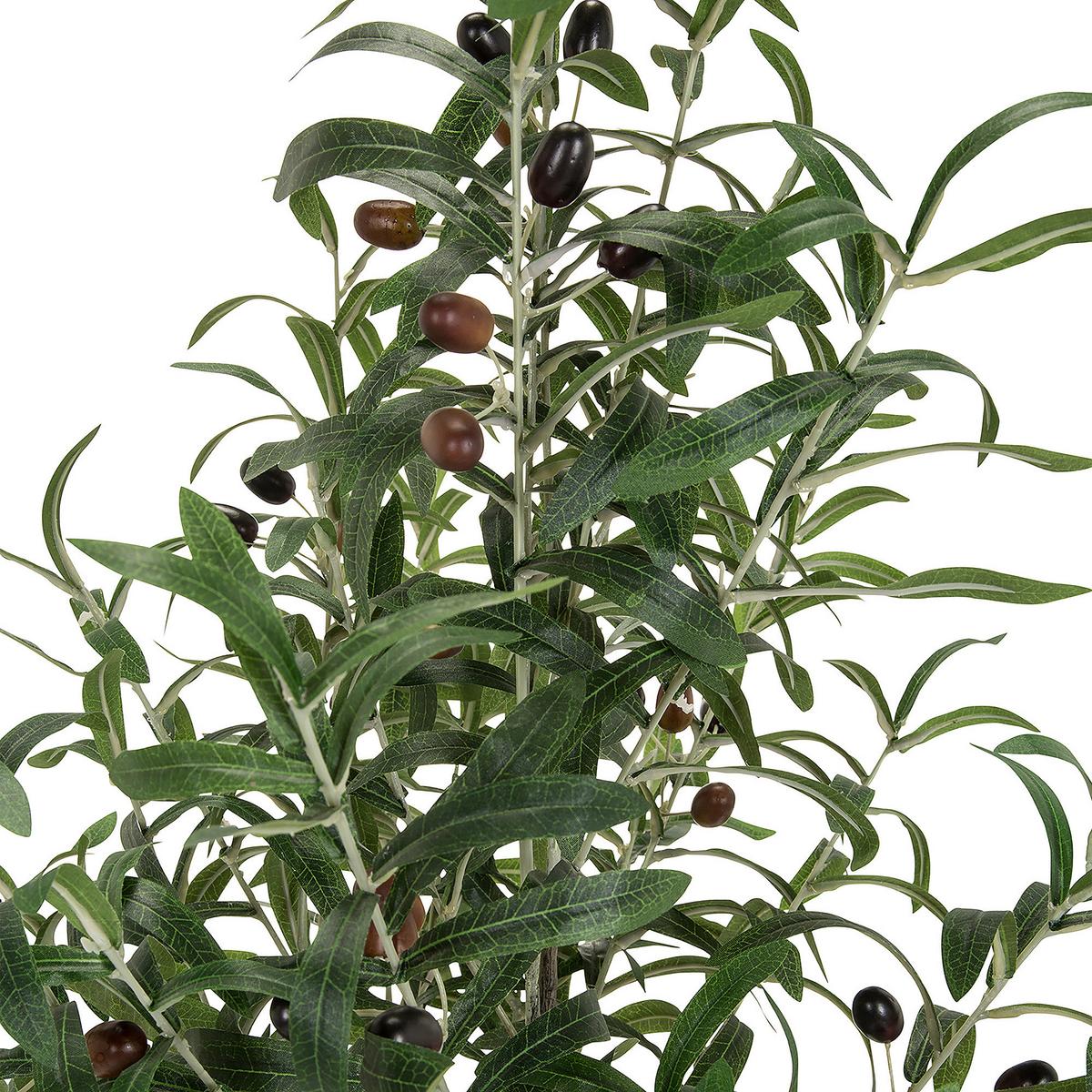 Kunstpflanze Olive - Schwarz/Braun, Basics, Kunststoff (45/120/45cm) - MID.YOU