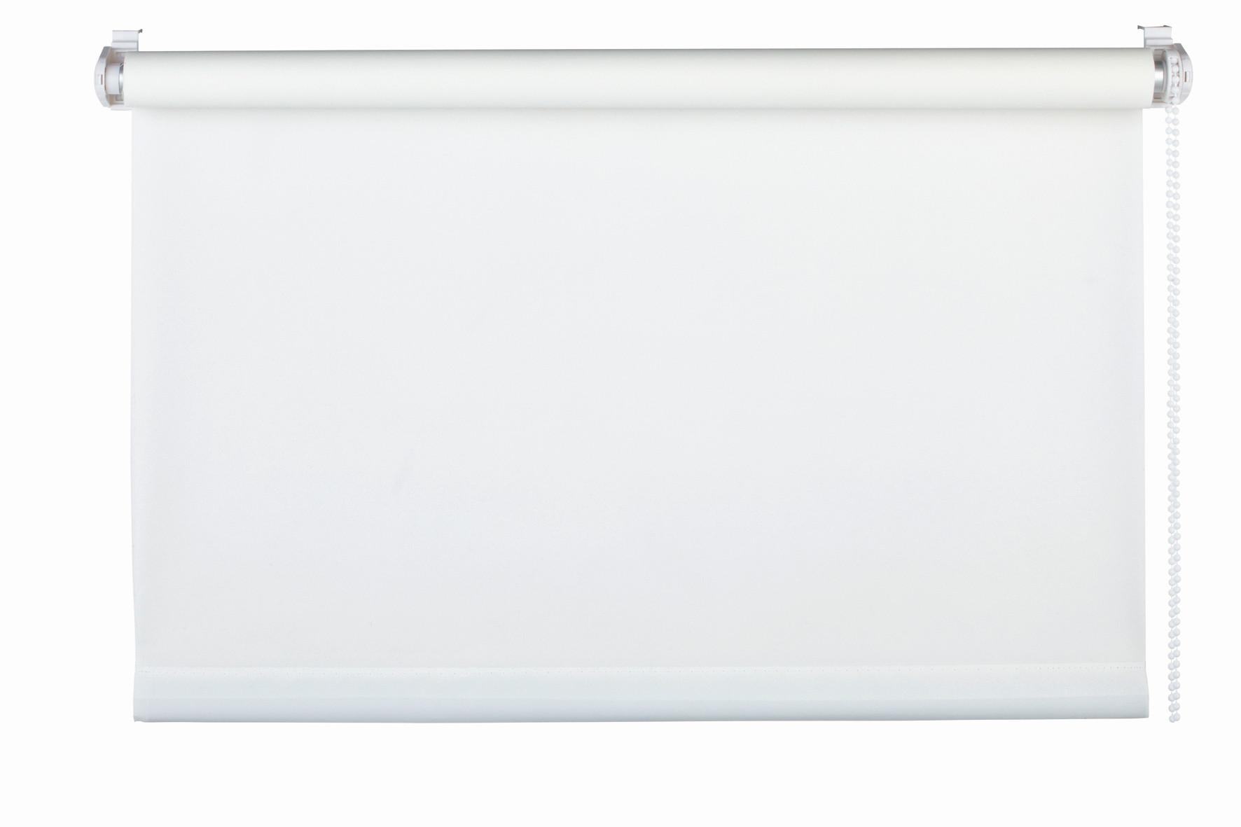 Rollo Win Weiß B: 120 cm - Weiß, Basics, Textil (120/160cm)