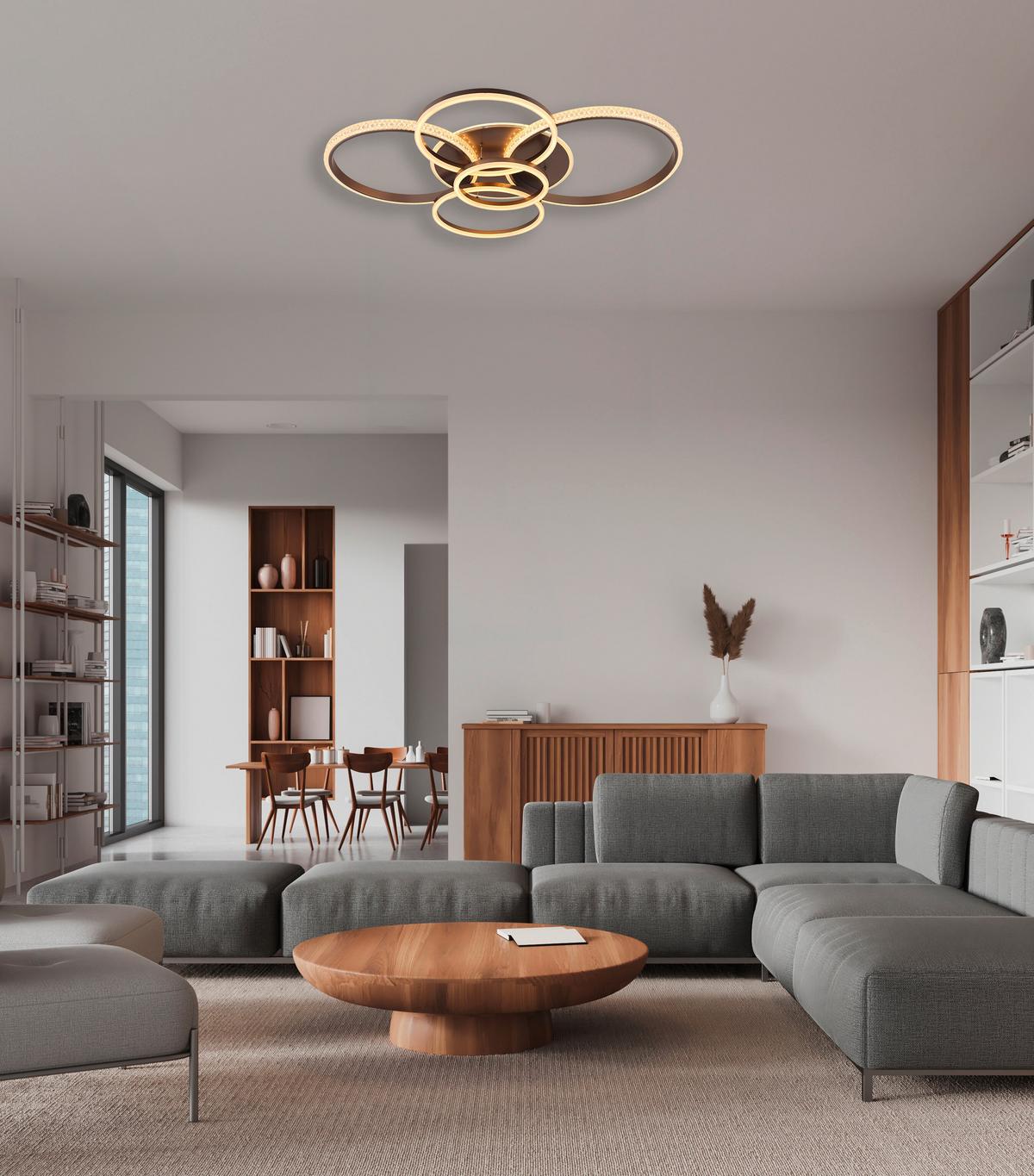 LED-Deckenleuchte 48467-70a Alaina - Klar/Anthrazit, Design, Kunststoff/Metall (110/88/11,5cm) - Globo
