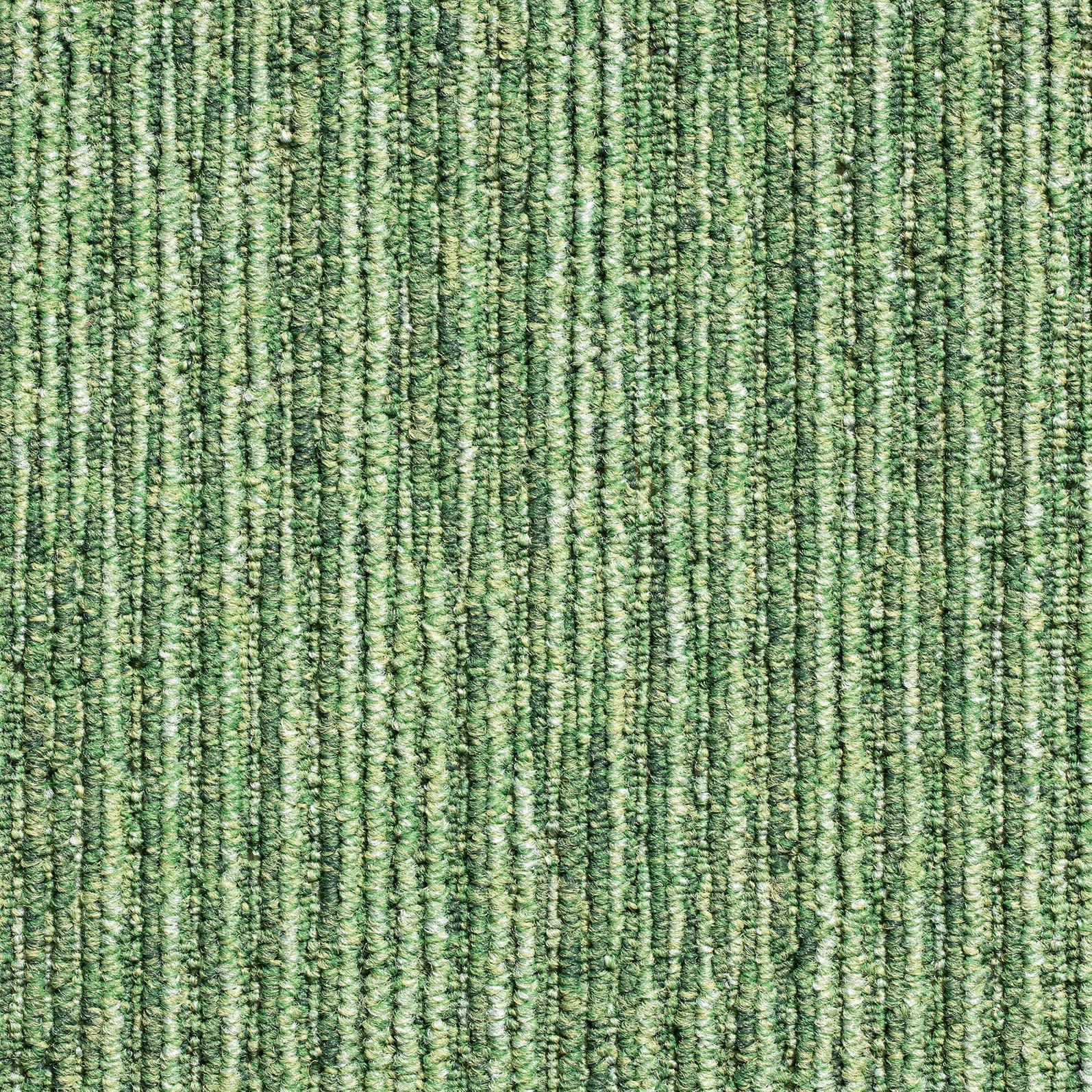 Teppichfliese Grün Ambition 50x50 cm Florhöhe 3 mm