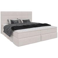 Polsterbett Alba Chenille Weiß, Lf: 180x200 Cm - Schwarz/Weiß, Trend, Textil (180/200cm)