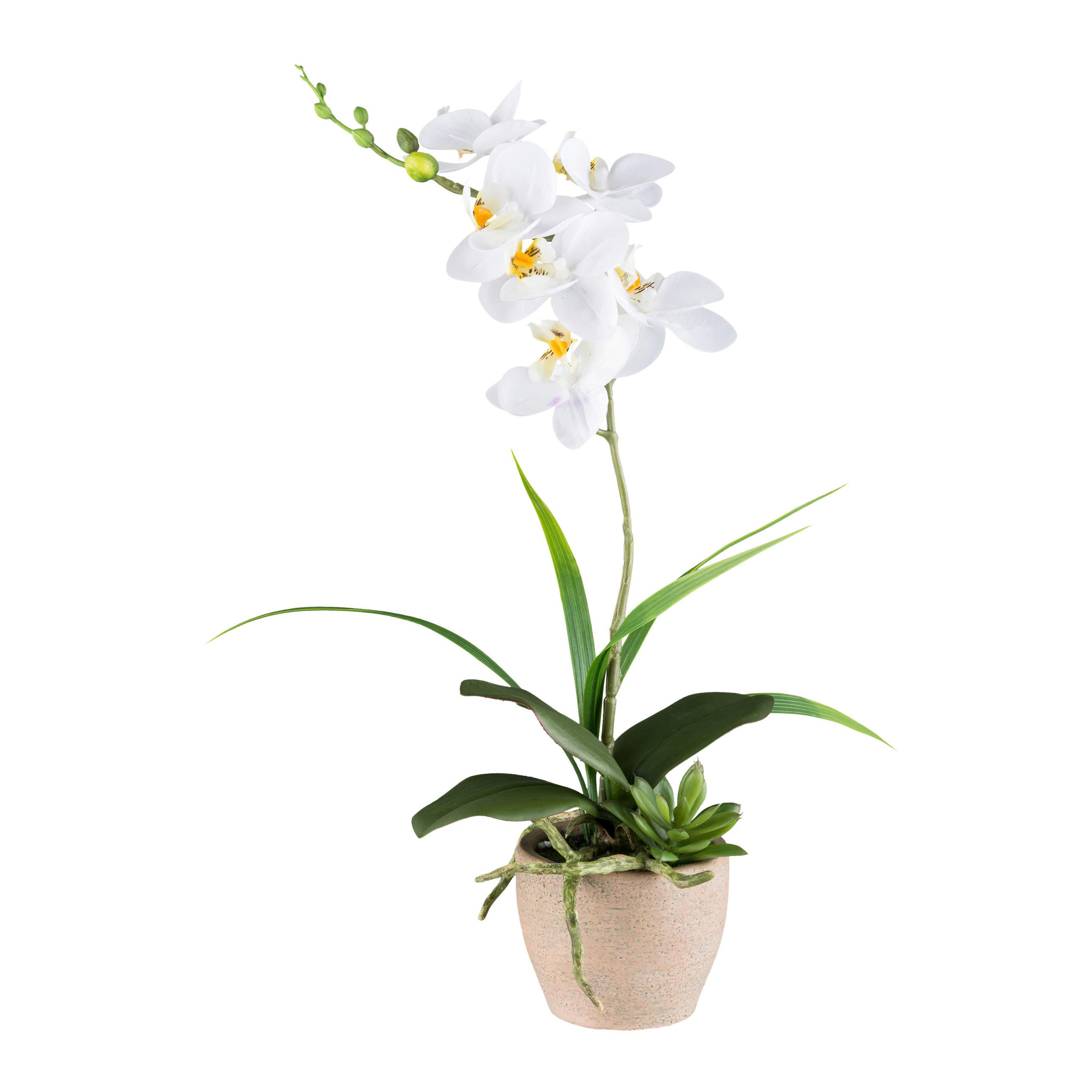 Kunstpflanze Orchideen Braun/Grau/Grün/Weiß, 45 cm - Braun/Weiß, Design, Kunststoff/Stein (45cm) - P & B