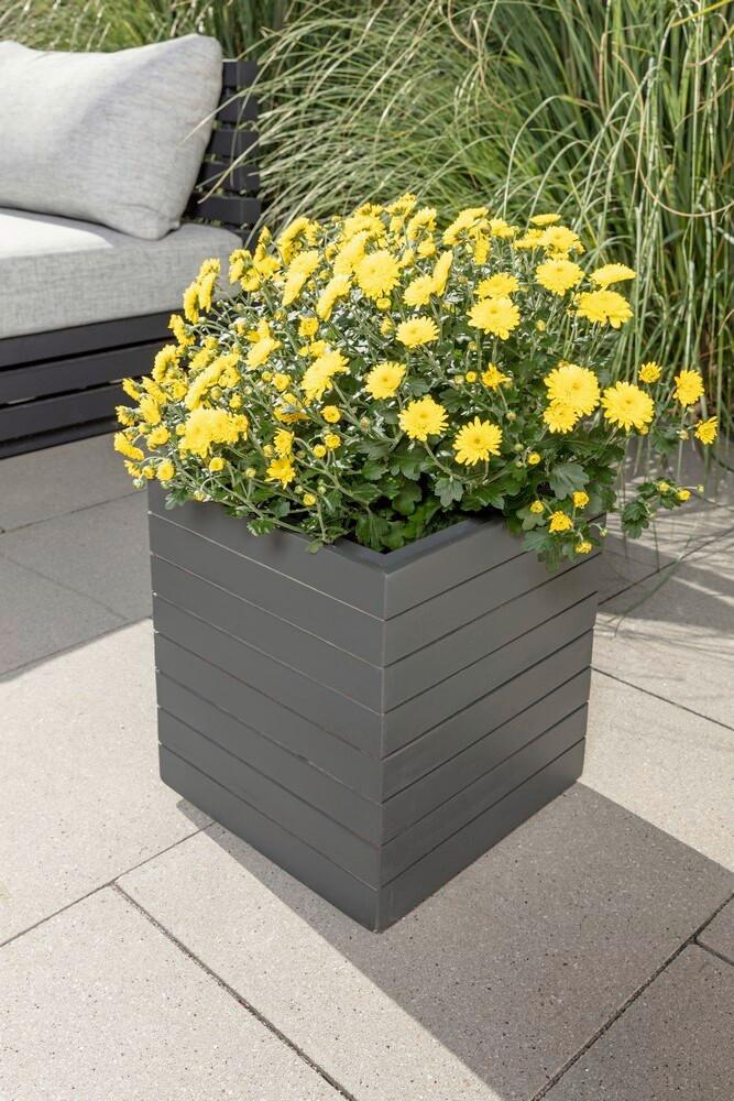 BLUMENKASTEN PFLANZKÜBEL 30CM - Anthrazit, Basics, Holz (30/30/35cm) - Prestige Home