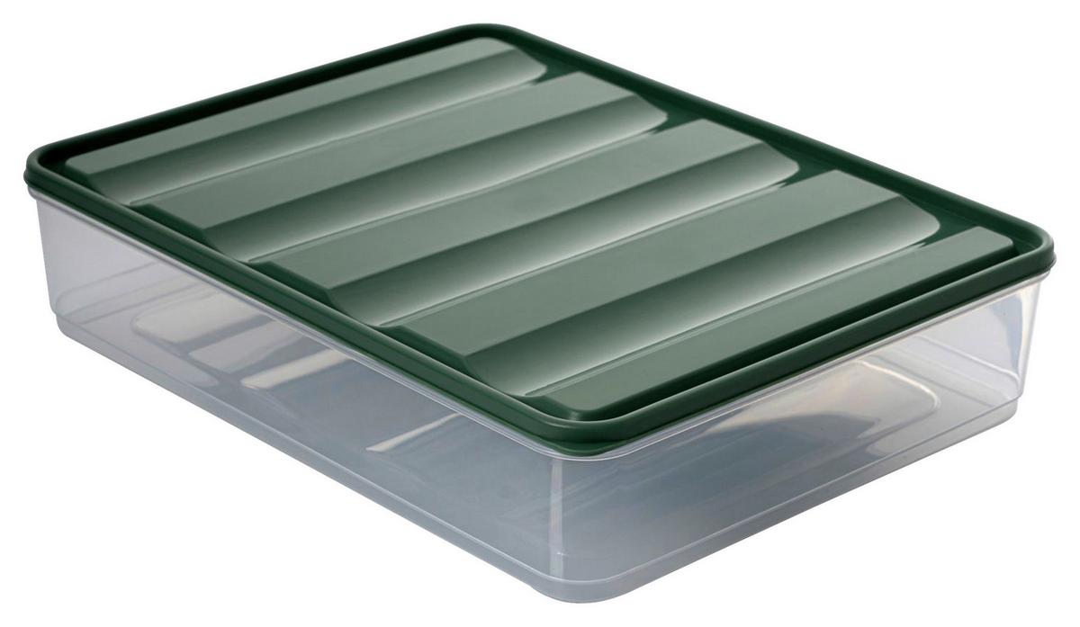 Vorratsdosenset Grün 20-teilig - Dunkelgrün/Transparent, Kunststoff