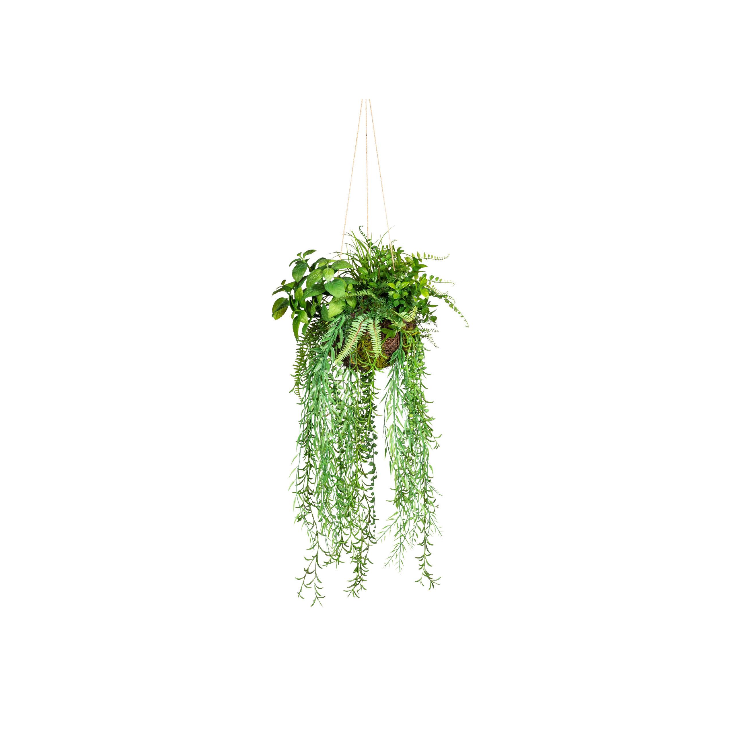 Kunstpflanze, Grün inkl. Aufhängung, H: 30 cm - Grün, Design, Kunststoff (30cm)