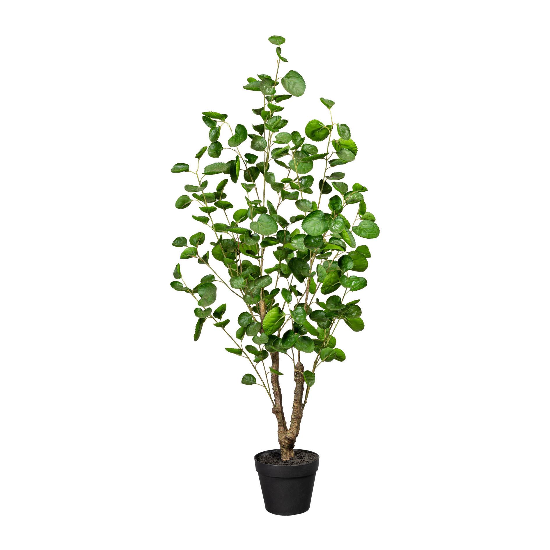 Kunstpflanze H: 110 cm - Schwarz/Braun, Design, Kunststoff (110cm) - P & B