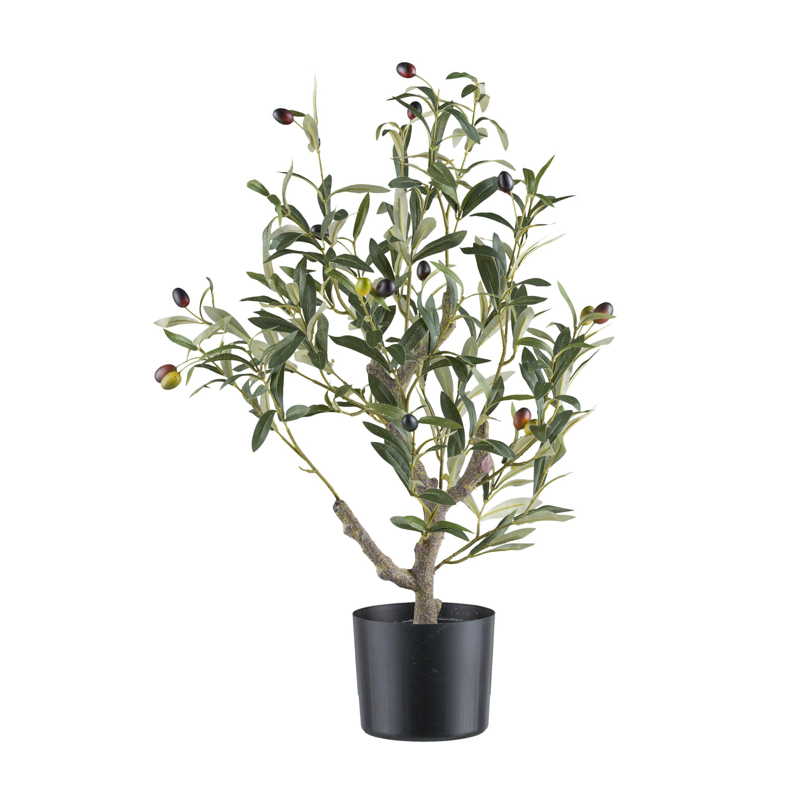 Kunstpflanze Grünpflanze H: 70 cm - Schwarz/Braun, Design, Kunststoff (70cm) - P & B