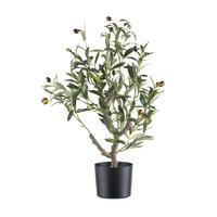 Kunstpflanze Grünpflanze H: 70 cm - Schwarz/Braun, Design, Kunststoff (70cm) - P & B