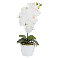 Kunstpflanze Orchidee Bunt L: 40 cm Im Topf, Sofie - Lila/Multicolor, Natur, Kunststoff (40cm)