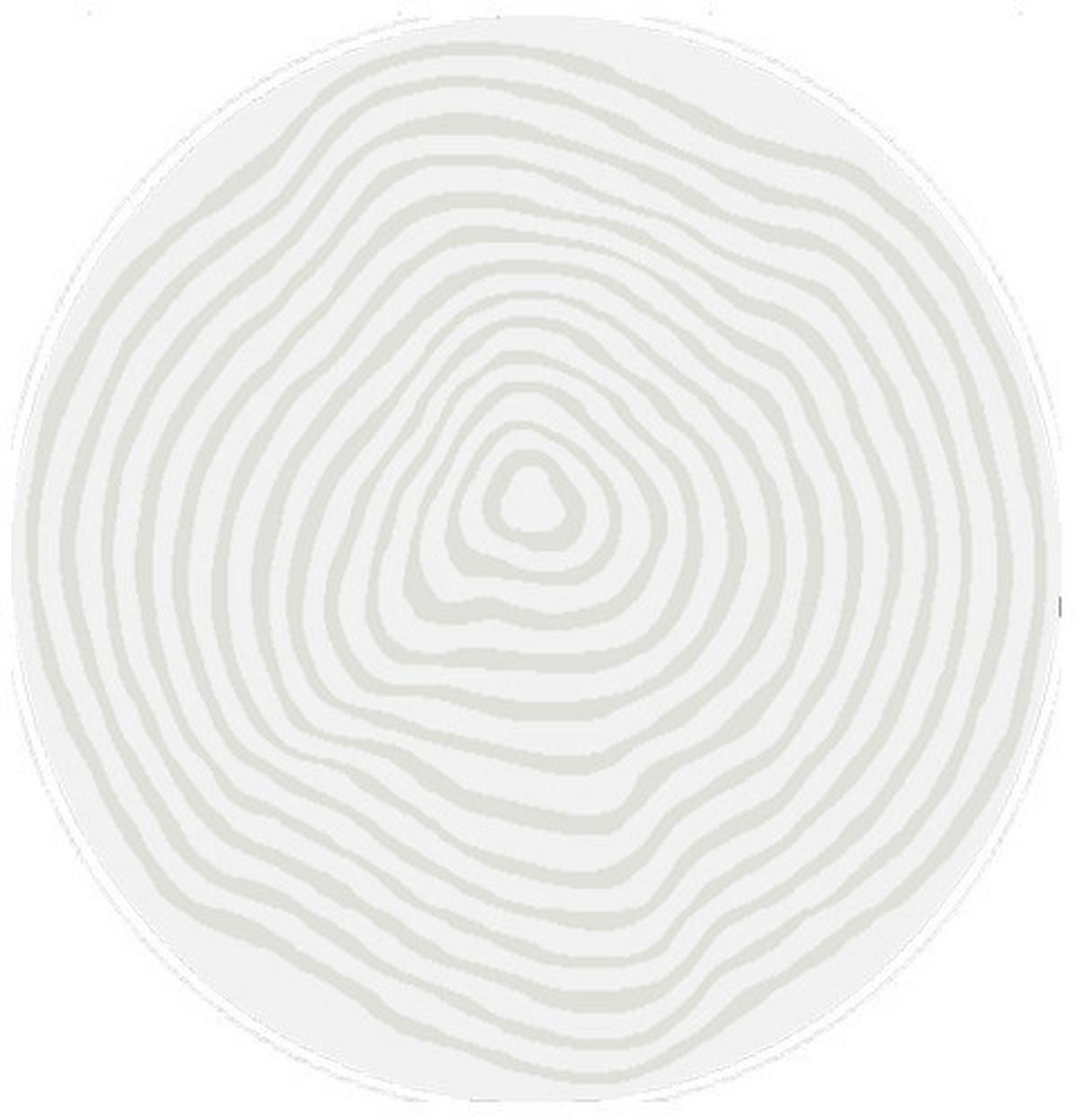 Webteppich Elio 2325 160-Cream - Creme, Basics, Textil (120cm)