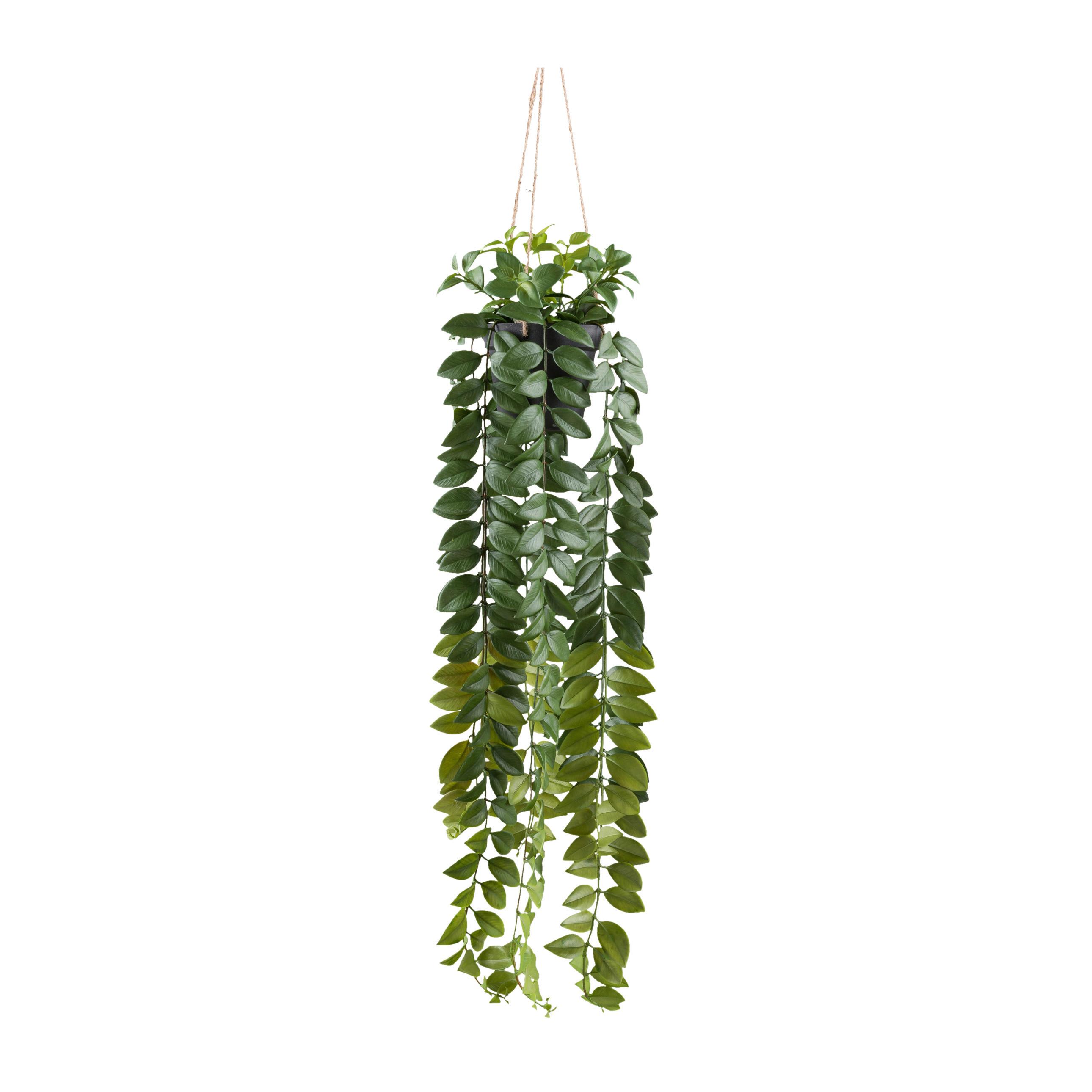 Kunstpflanze, Hängepflanze Grün, H: 85 cm - Schwarz/Grün, Design, Kunststoff (85cm)