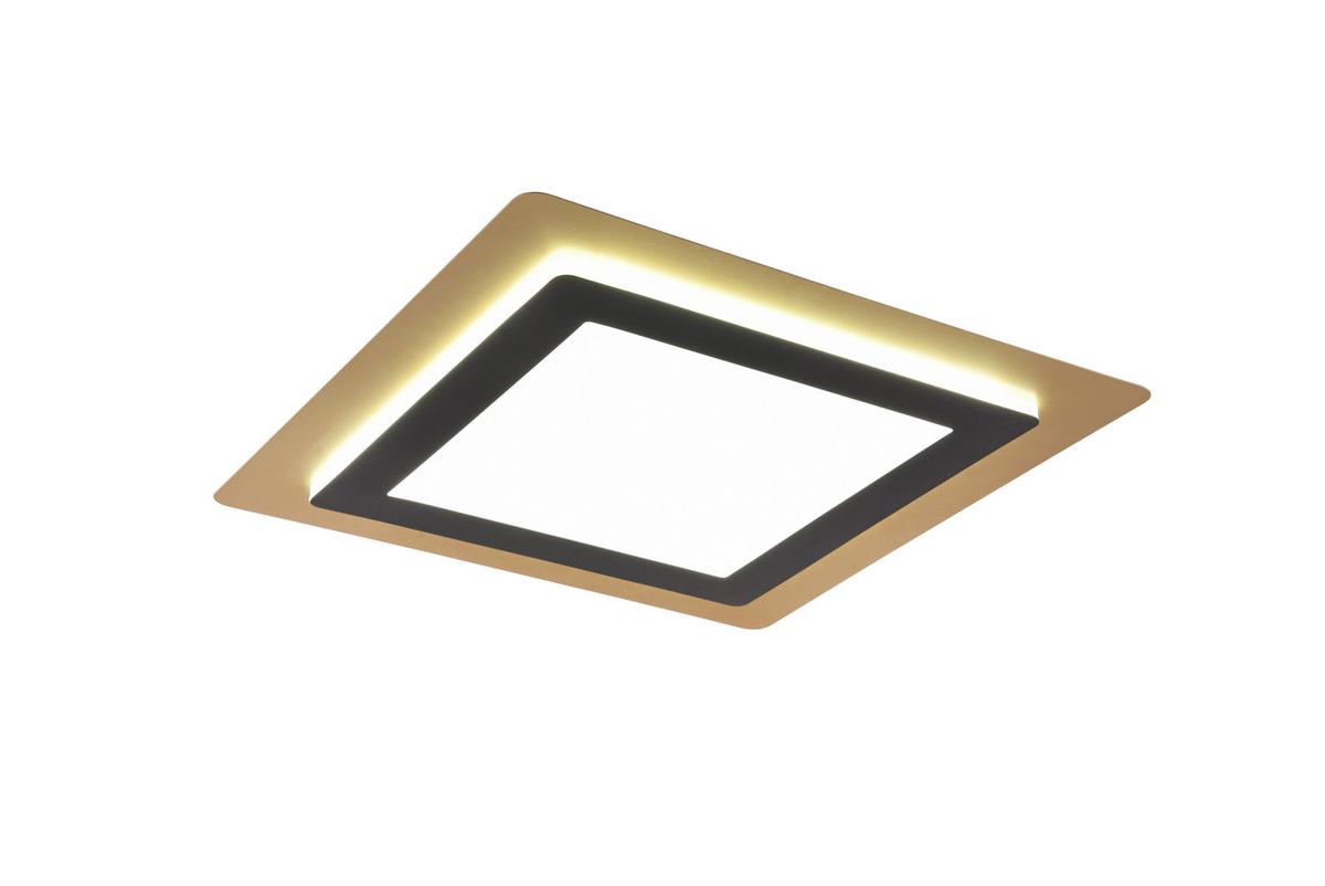 Led-deckenleuchte 641510280 Morgan - Goldfarben/Schwarz, Design, Metall (45/45/4,2cm) - Trio Leuchten