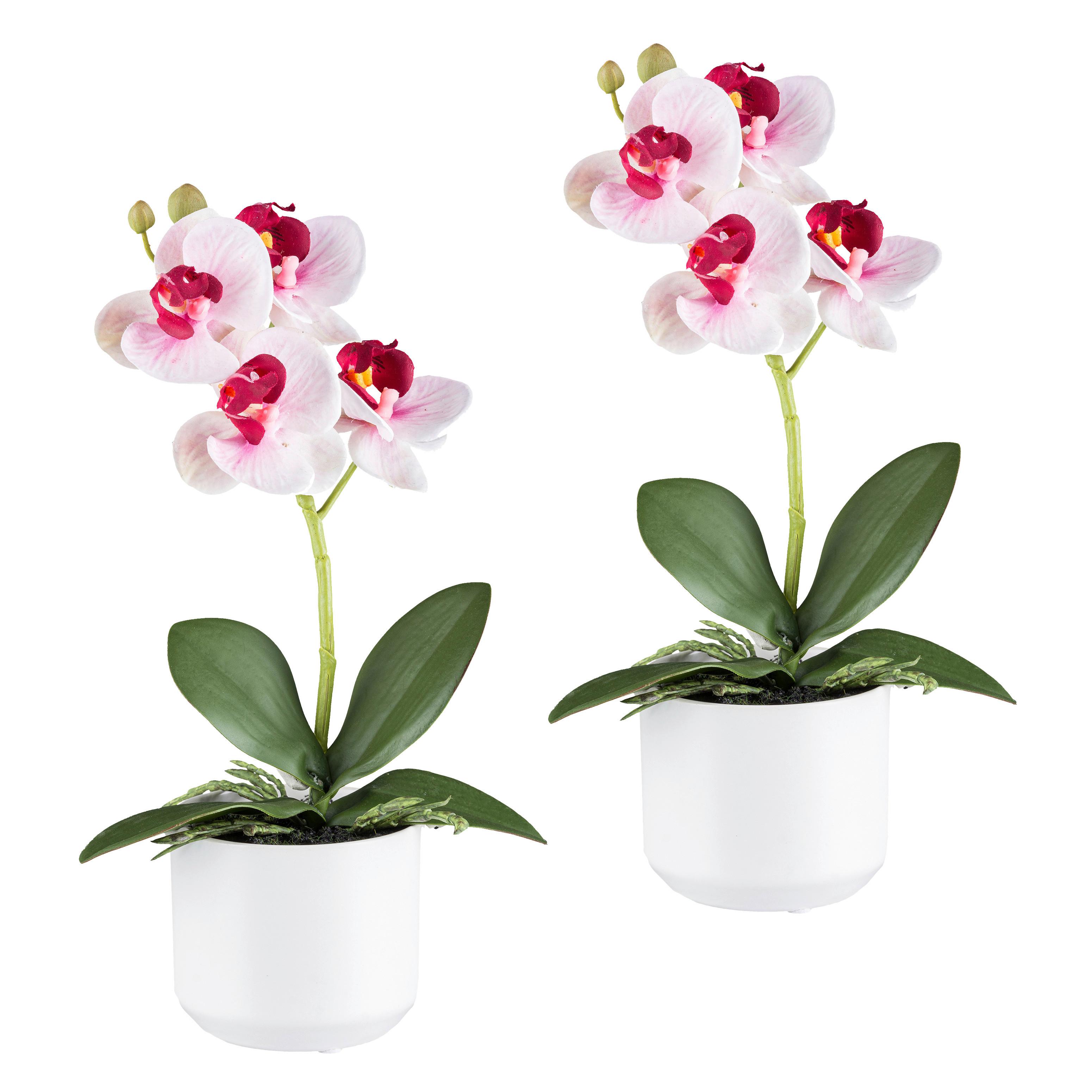 Kunstpflanze Orchideen Grün/Rosa/Weiß/Pink, 27 cm - Pink/Rosa, Design, Keramik/Kunststoff (27cm) - P & B