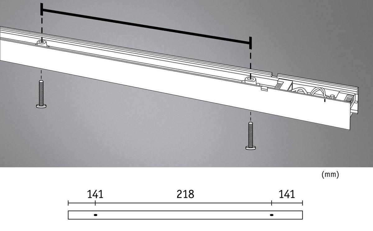 Schienensystem-Stableuchte Linion Schwarz L: 100 cm - Basics (100,0/4,0/4,0cm) - Paulmann