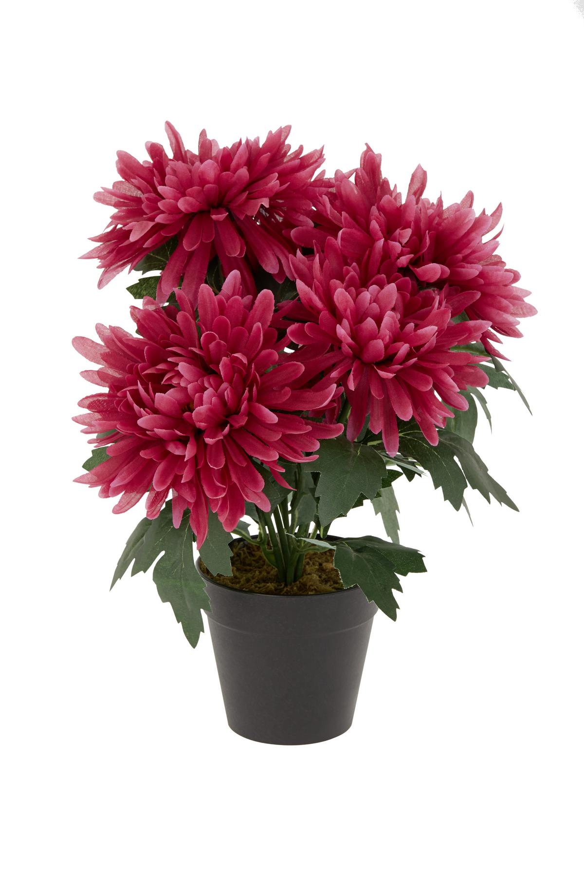 Kunstpflanze Herbstlicher Mix H: 30 cm, Amalia - Pink/Hellrosa, KONVENTIONELL, Kunststoff/Textil (30cm) - Ondega