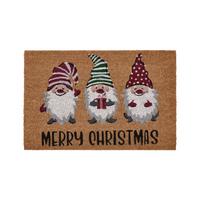 DVEŘNÍ ROHOŽKA ZWERGI 1 - vícebarevná, Konvenční, plast/přírodní materiály (40/60cm) - Mömax