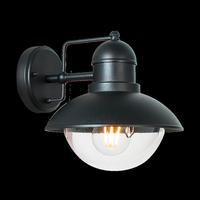 Led Kültéri Falilámpa Hector - fekete/átlátszó, Basics, műanyag/fém (22/21/25cm)