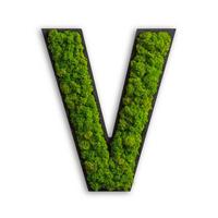 Moosbild Grün B: 26 cm - Schwarz/Grün, Basics, Naturmaterialien/Holz (26/21/4cm)