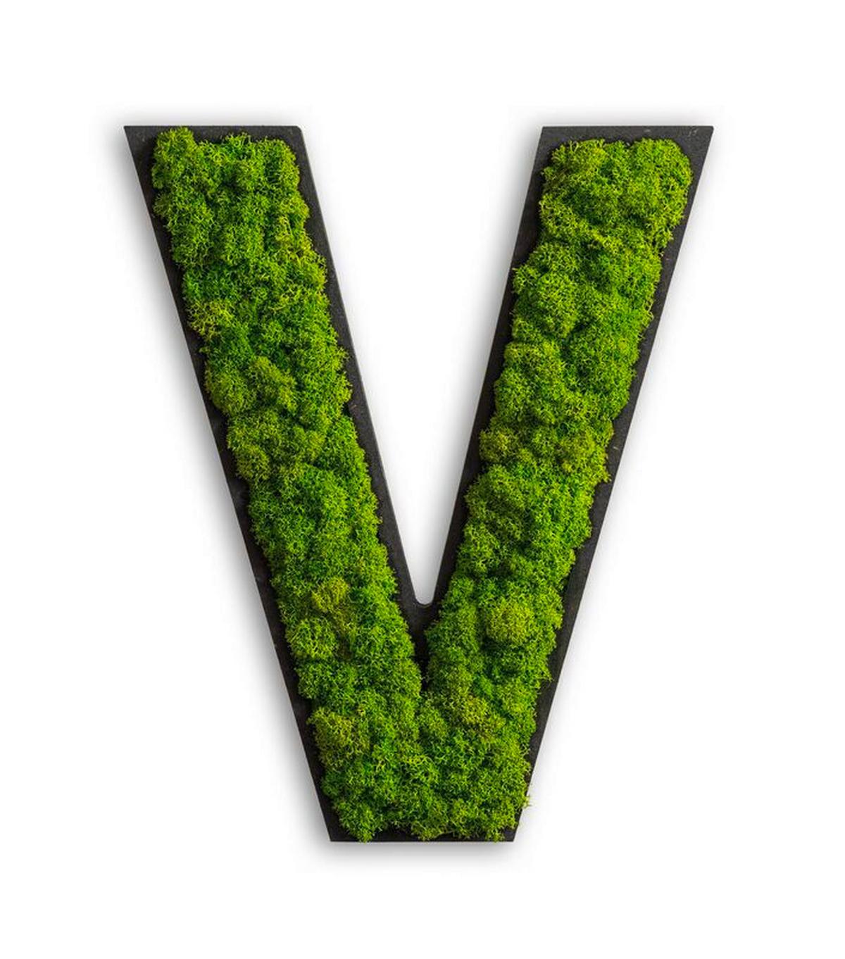 Moosbild Grün B: 26 cm - Schwarz/Grün, Basics, Naturmaterialien/Holz (26/21/4cm)