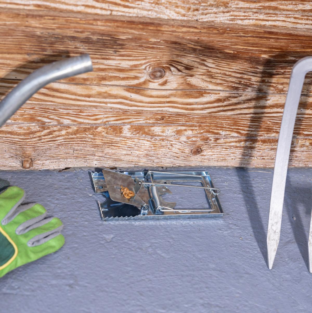 Mausefalle 05437 Rattenfalle Metall - Anthrazit, Basics, Metall (9/3/19cm) - Windhager