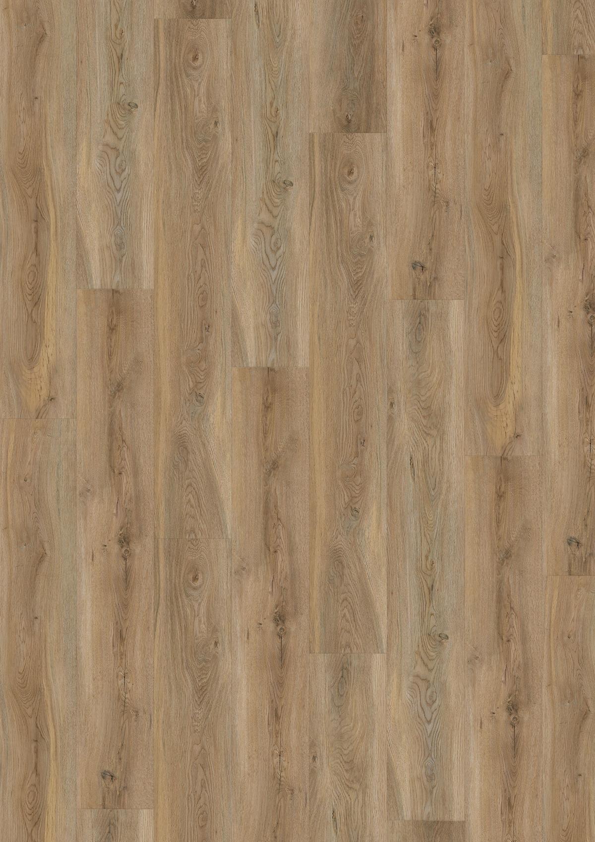 Vinylboden Eichefarbe Landhausdiele - Eichefarben, Basics, Kunststoff (18,2/122/0,35cm)