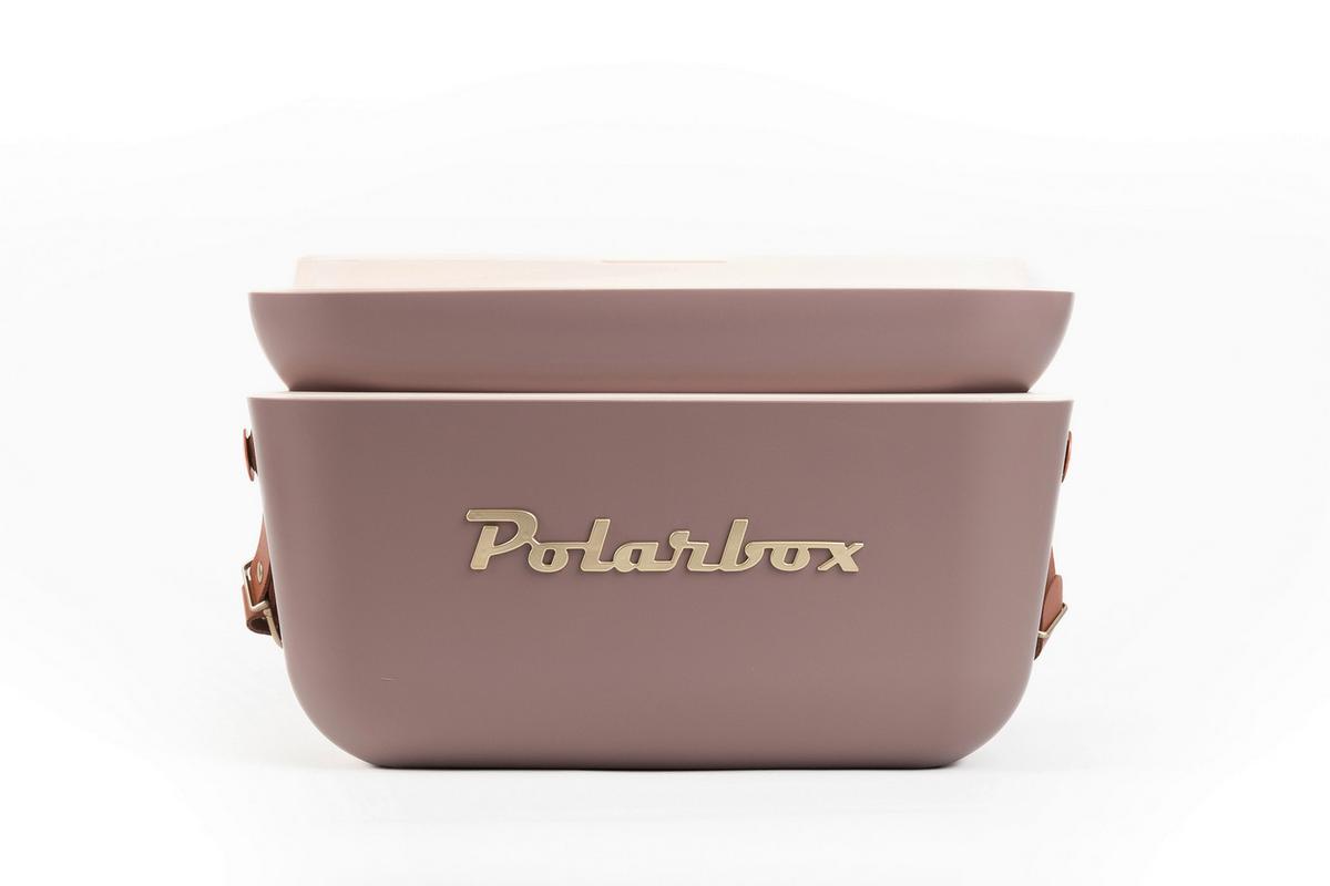 Kühlbox Lxbxh: Ca. 40x25,8x25,3 Cm - Mauve, Basics, Kunststoff (40/25,8/25,3cm) - Polarbox
