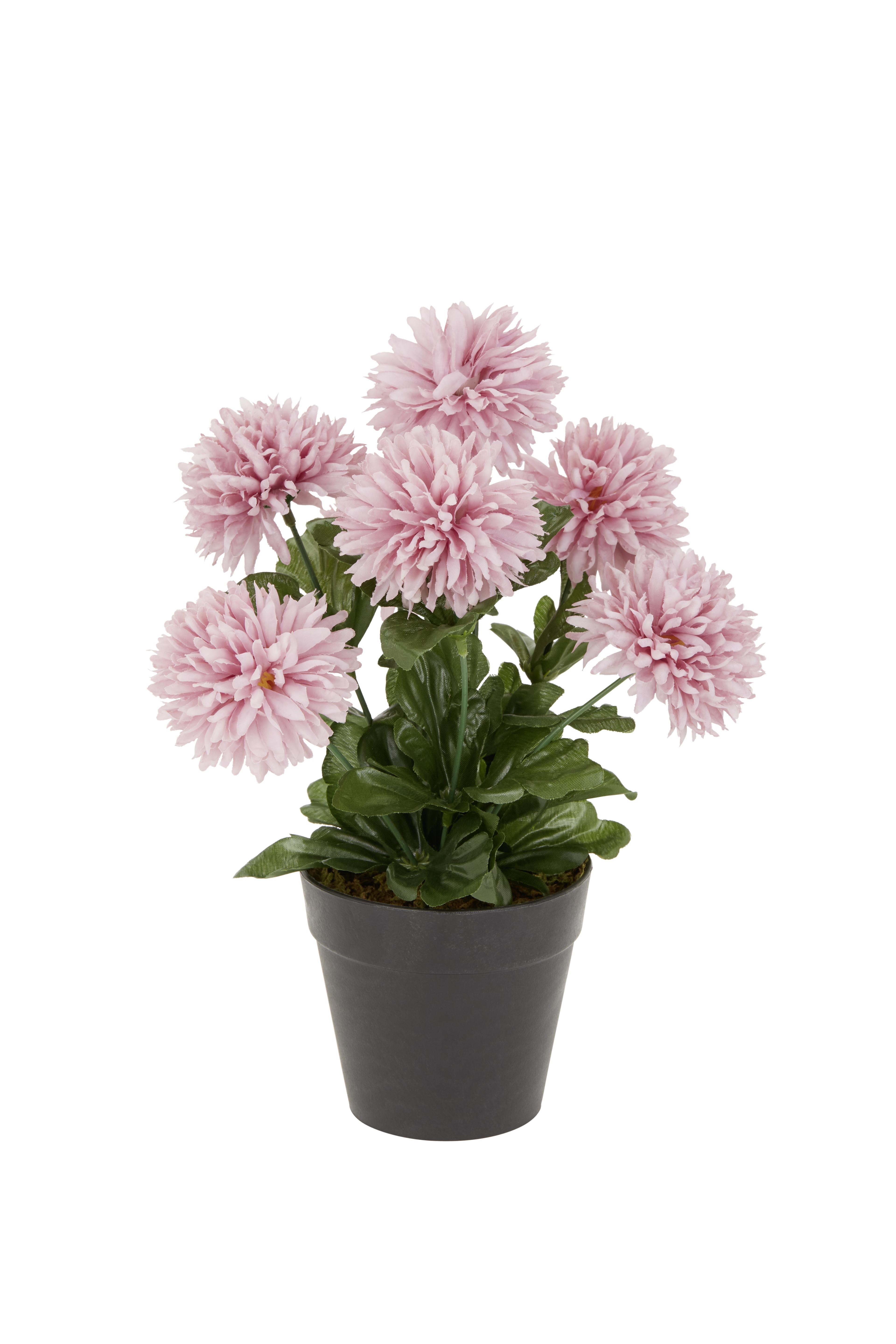 Kunstpflanze Herbstlicher Mix H: 30 cm, Amalia - Pink/Hellrosa, KONVENTIONELL, Kunststoff/Textil (30cm) - Ondega