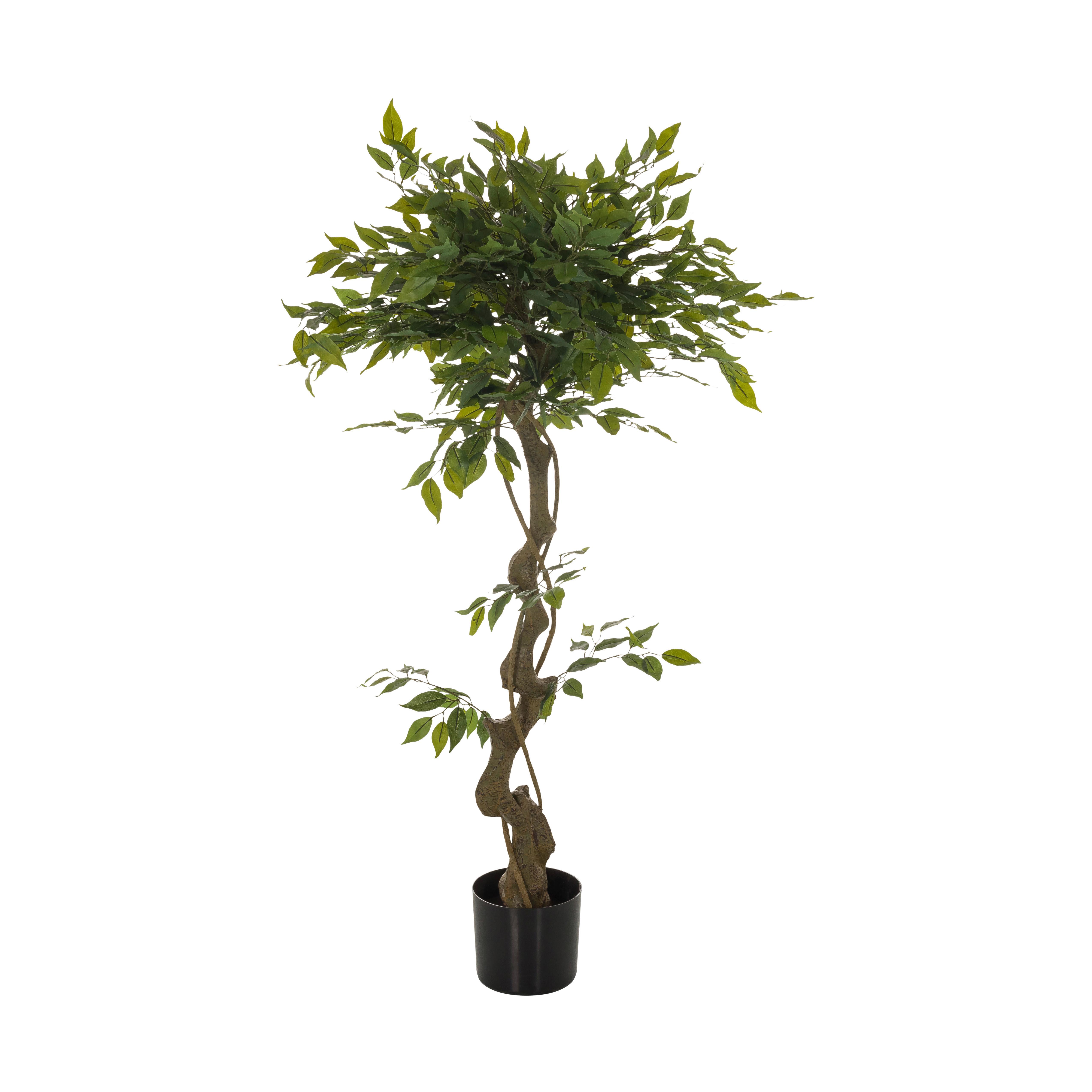 Kunstpflanze Ficus I - Schwarz/Braun, Basics, Kunststoff (70/120/70cm) - MID.YOU