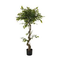 Kunstpflanze Ficus I - Schwarz/Braun, Basics, Kunststoff (70/120/70cm) - MID.YOU