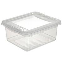 Aufbewahrungsbox Bea mit Deckel Kunststoff 19,5x16,5x8,5 cm - Transparent, KONVENTIONELL, Kunststoff (19,5/16,5/8,5cm) - Homezone