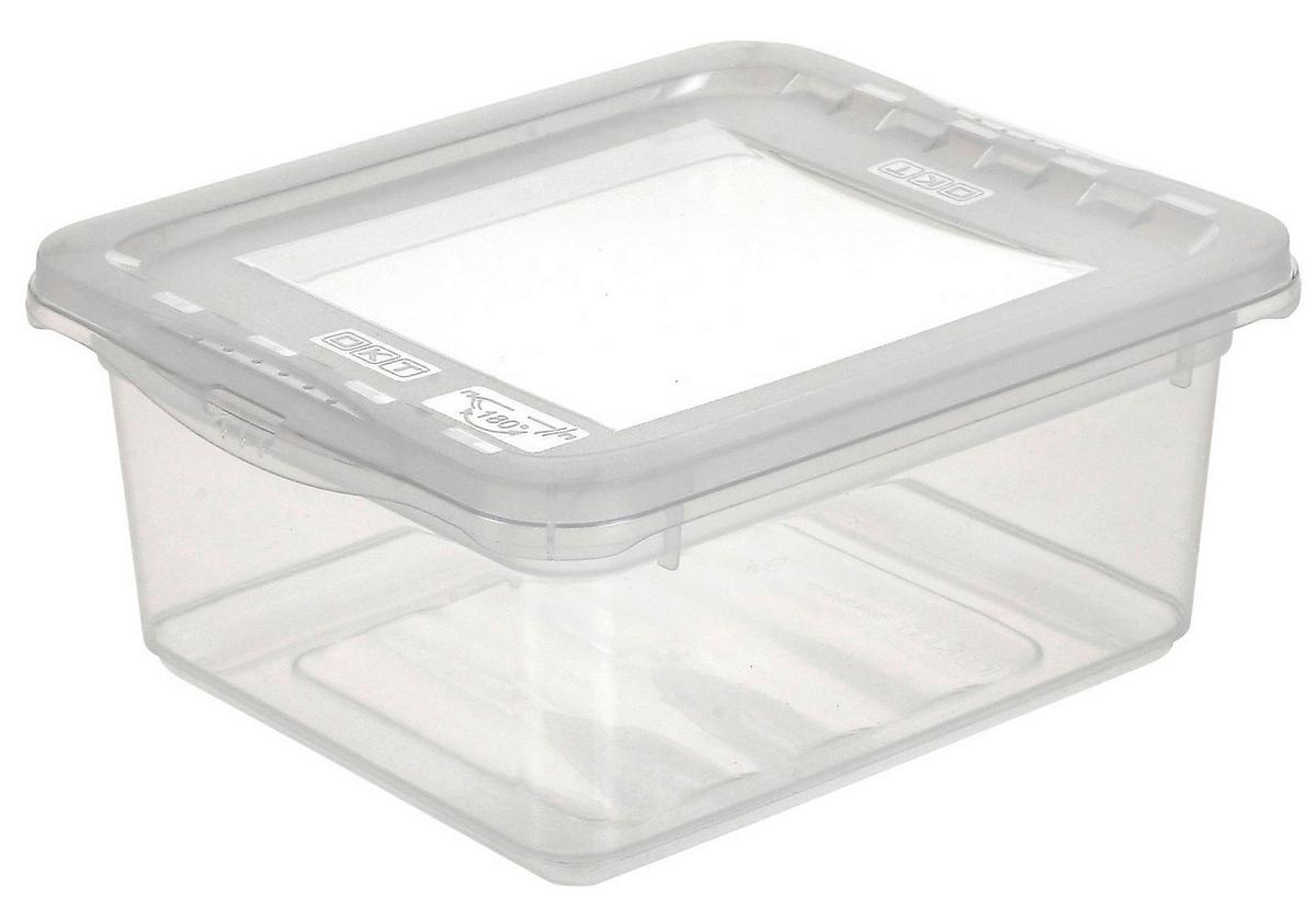 Aufbewahrungsbox Bea mit Deckel Kunststoff 19,5x16,5x8,5 cm - Transparent, KONVENTIONELL, Kunststoff (19,5/16,5/8,5cm) - Homezone