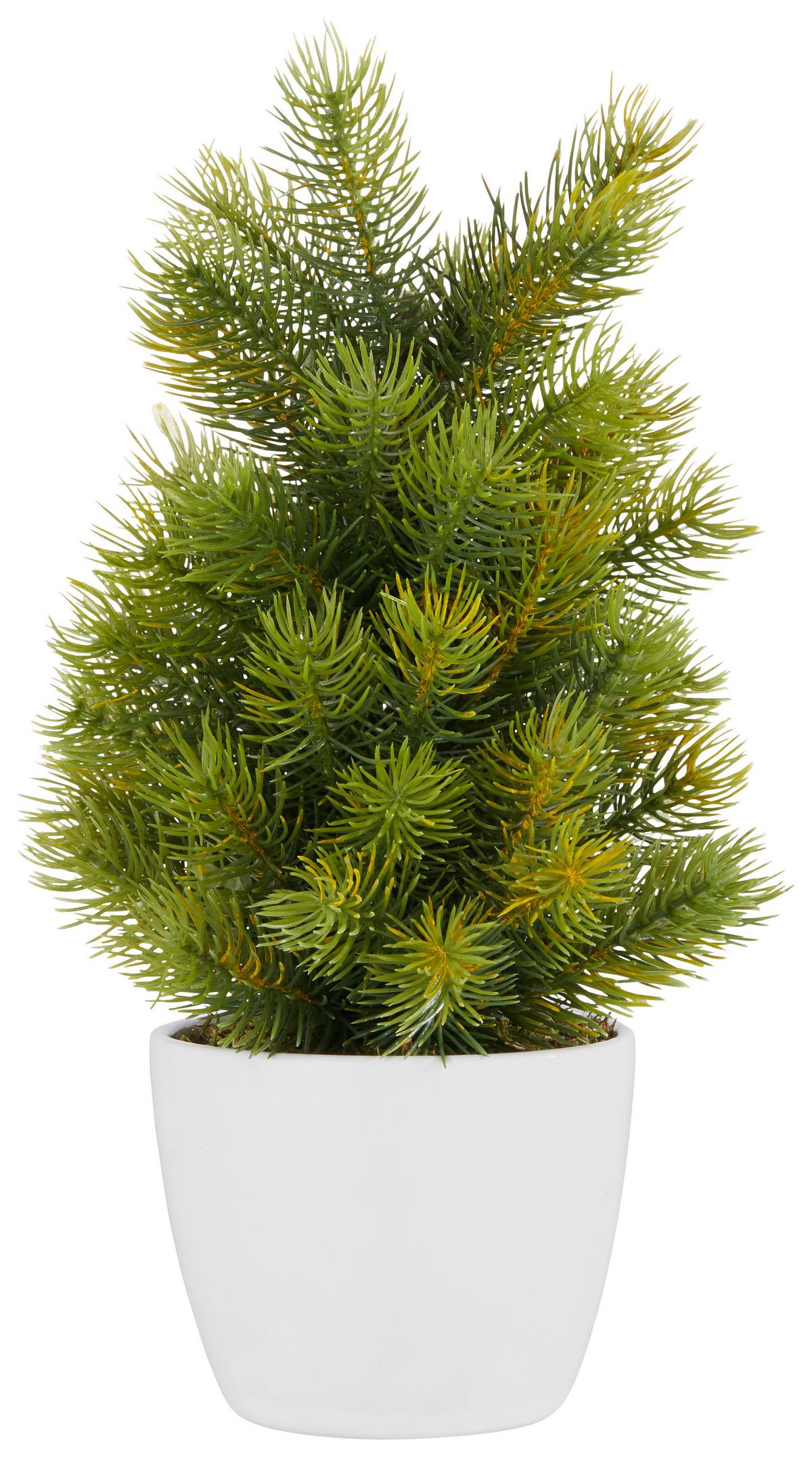 Rostlina umělá Jedle I, výška: 38cm - zelená/hnědá, kov/plast (38cm)