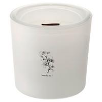 Svíčka ve skle Candle, 64 h. - bílá, parafín/sklo (12/12cm) - Mömax