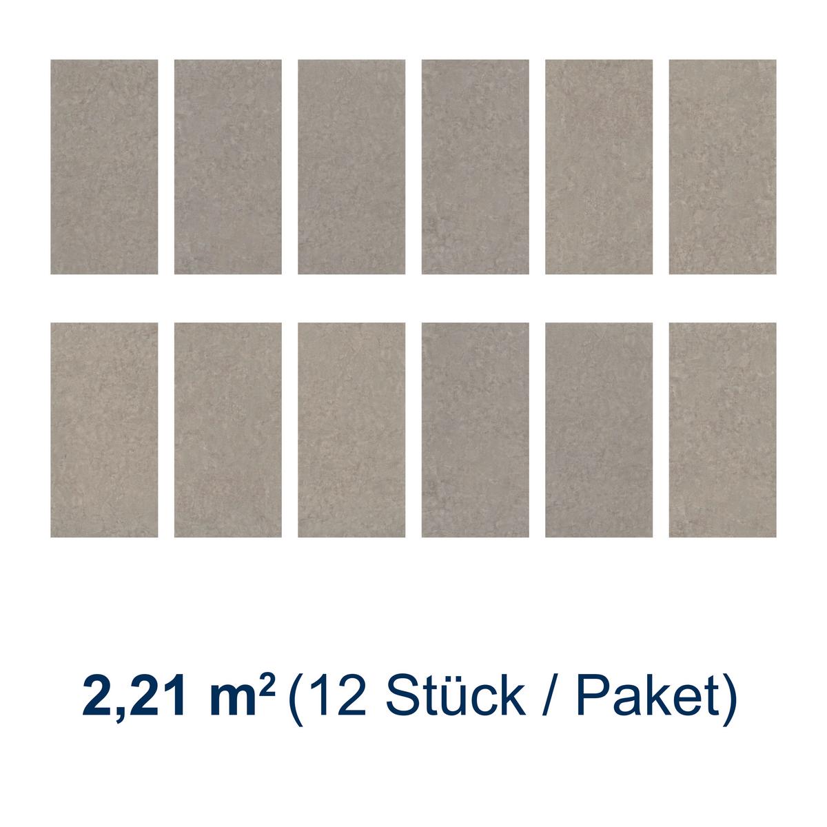 Designboden Steinoptik Greige Stärke 4,2mm - Greige, Basics, Kunststoff (60.5/30.48/0.42cm)