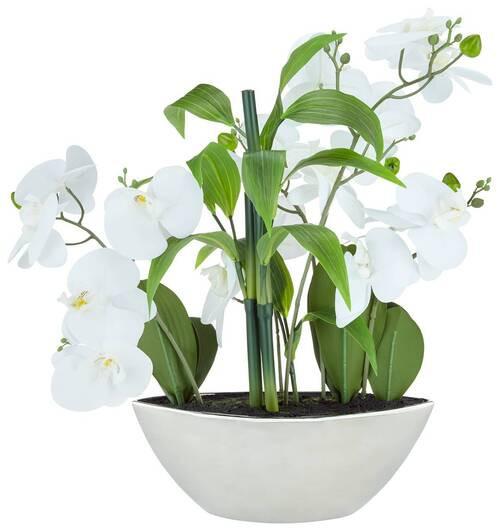 Phalenopsis Rosaria, Weiss H: ca. 54 cm - Silberfarben/Weiß, Basics, Kunststoff/Metall (54cm)