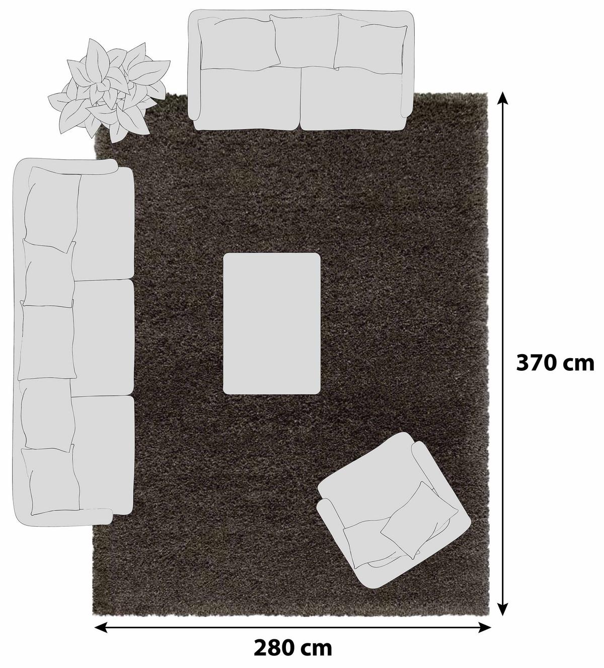 Hochflor Teppich Braun Naturfaser Fluffy 280x370 cm - Braun, Basics, Textil (280/370cm)