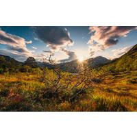 Fototapete Norwegische Herbstwelten - Multicolor, Trend, Textil (450/280cm)
