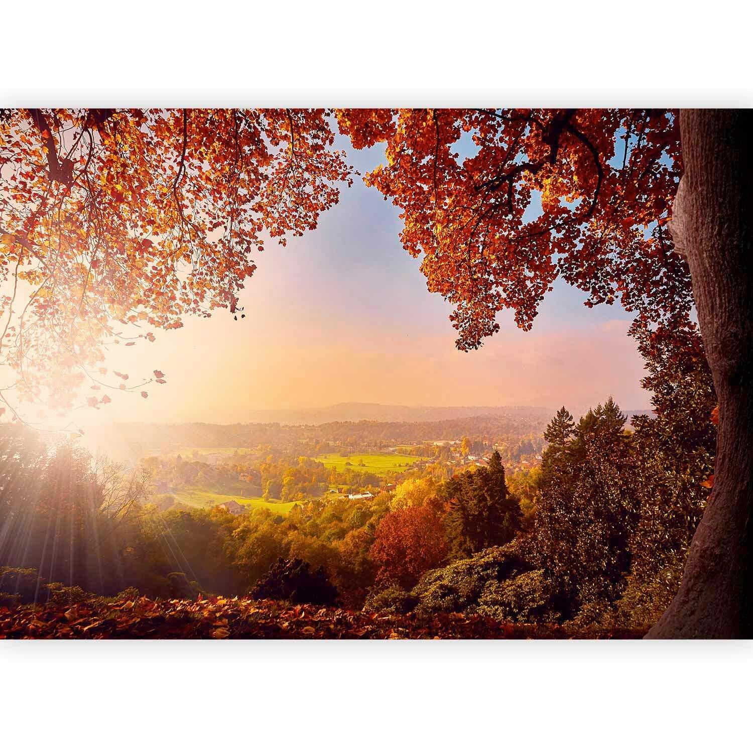 Fototapete Multicolor B: 100 cm - Multicolor, Basics, Textil (100/70cm) - artgeist